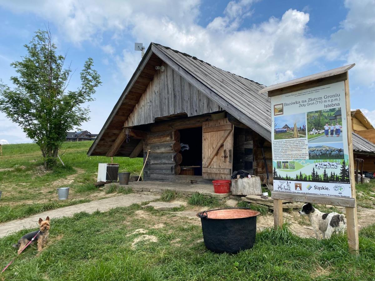 Zloty Gron Log Houses & Apartments Istebna Exteriér fotografie
